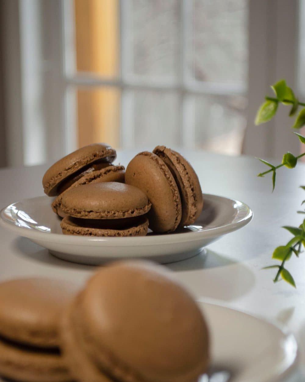 Macarons de chocolate apoyados en un plato blanco, con la luz de una ventana de fondo